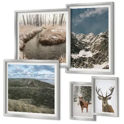 Framed photo set majestic wild nature mountains