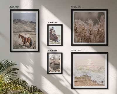 Set of 5 wall art pieces Landscapes with horses and water
