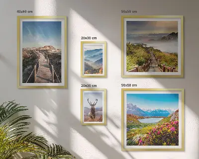Framed photo set featuring landscapes of mountains and wild forests