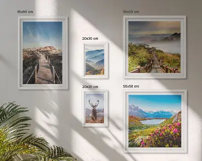 Framed photo set featuring landscapes of mountains and wild forests