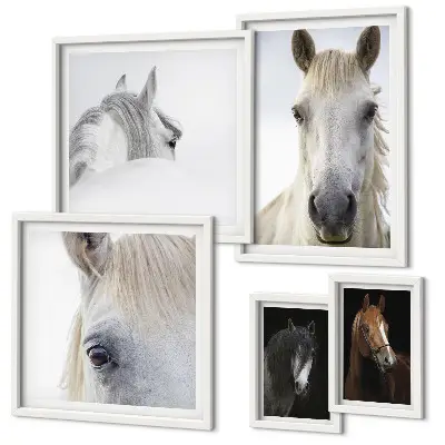 Horse portraits gallery wall in various artistic styles