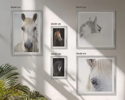 Horse portraits gallery wall in various artistic styles
