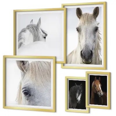 Horse portraits gallery wall in various artistic styles