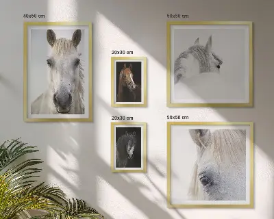 Horse portraits gallery wall in various artistic styles