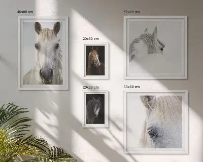 Horse portraits gallery wall in various artistic styles