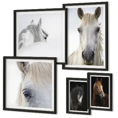 Horse portraits gallery wall in various artistic styles