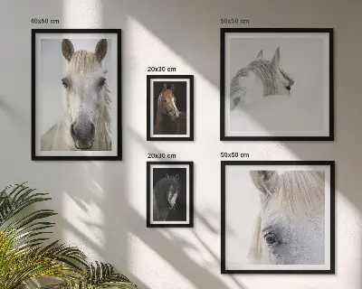 Horse portraits gallery wall in various artistic styles