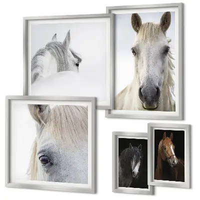 Horse portraits gallery wall in various artistic styles