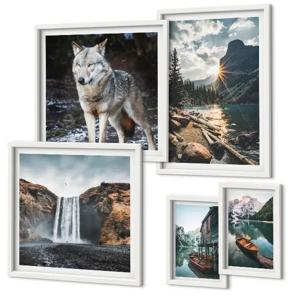Framed photo set featuring nature and wildlife landscapes