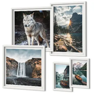 Framed photo set featuring nature and wildlife landscapes