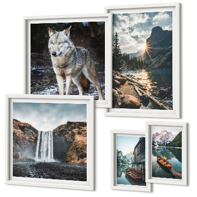 Framed photo set Landscapes of nature wildlife