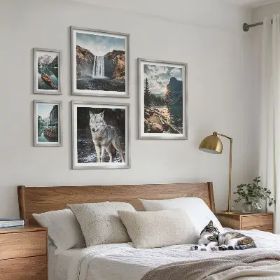 Framed photo set featuring nature and wildlife landscapes