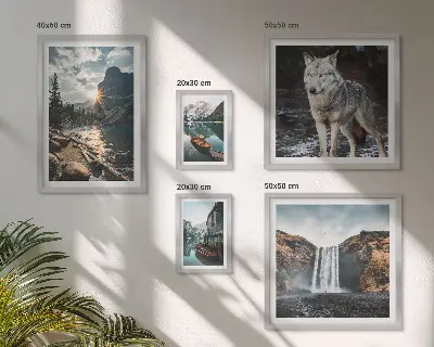 Framed photo set featuring nature and wildlife landscapes