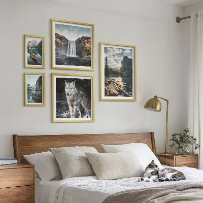 Framed photo set featuring nature and wildlife landscapes