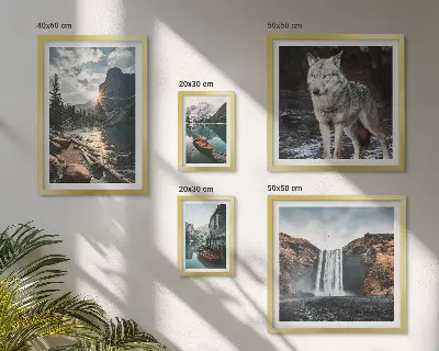 Framed photo set featuring nature and wildlife landscapes