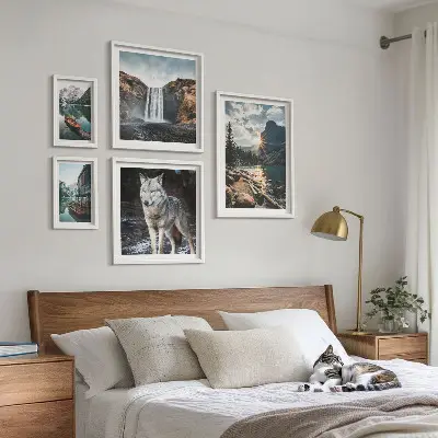 Framed photo set featuring nature and wildlife landscapes