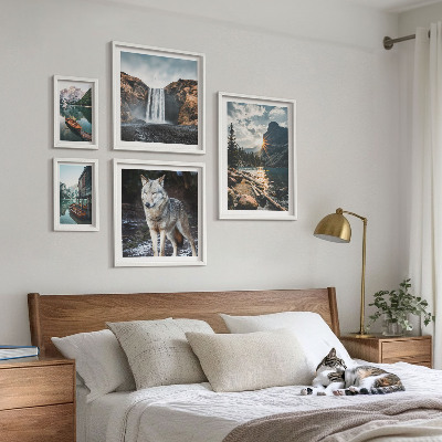 Framed photo set Landscapes of nature wildlife