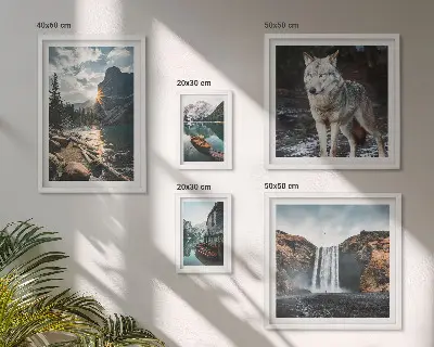 Framed photo set featuring nature and wildlife landscapes