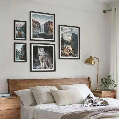 Framed photo set featuring nature and wildlife landscapes