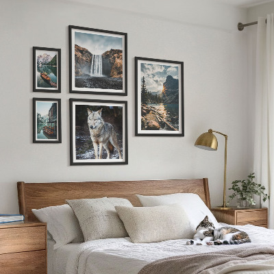 Framed photo set Landscapes of nature wildlife