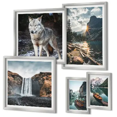 Framed photo set featuring nature and wildlife landscapes