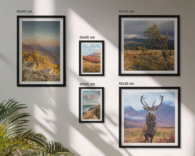 Set of 5 wall art pieces Mountain wildlife landscapes