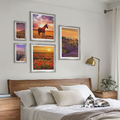 Gallery wall Landscapes of nature horses flowers
