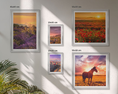 Gallery wall Landscapes of nature horses flowers