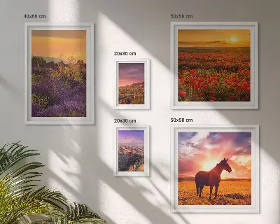 Gallery wall featuring landscape scenes of nature, horses, and flowers