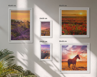 Gallery wall Landscapes of nature horses flowers