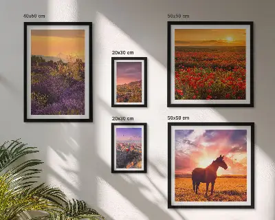 Gallery wall featuring landscape scenes of nature, horses, and flowers