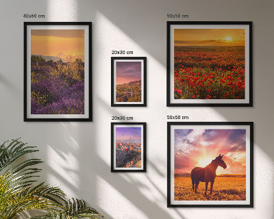 Gallery wall Landscapes of nature horses flowers