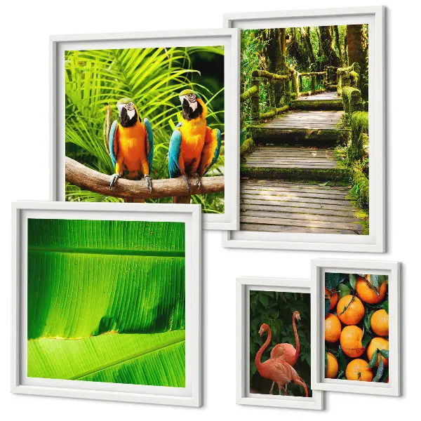 Tropical Nature Fruit Wall Art Set set of 5 pieces