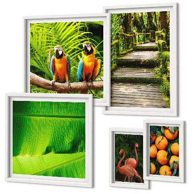 Set of 5 wall art pieces Tropical nature fruit motifs