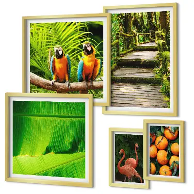 Tropical Nature Fruit Wall Art Set set of 5 pieces