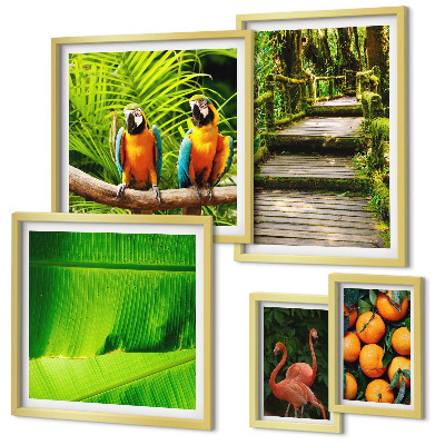 Set of 5 wall art pieces Tropical nature fruit motifs
