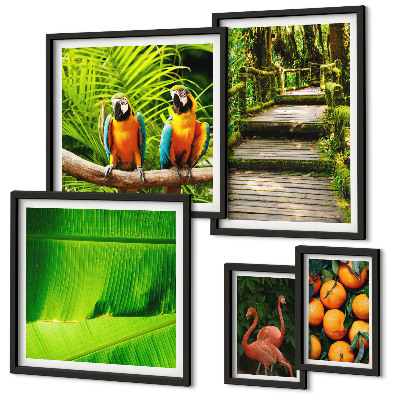 Set of 5 wall art pieces Tropical nature fruit motifs