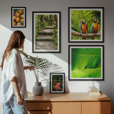 Set of 5 wall art pieces Tropical nature fruit motifs