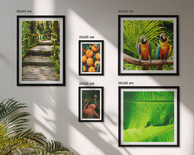 Set of 5 wall art pieces Tropical nature fruit motifs