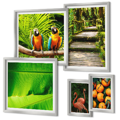 Set of 5 wall art pieces Tropical nature fruit motifs