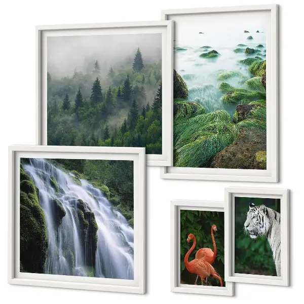 Gallery wall set featuring nature, wildlife, and landscape photography