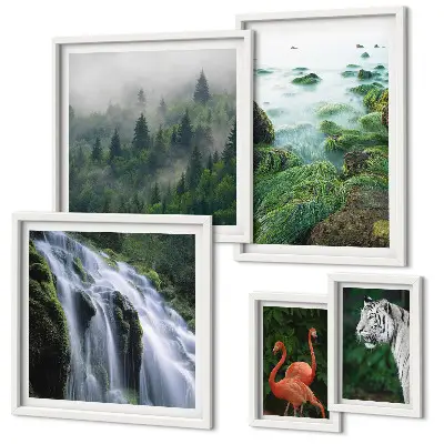 Gallery wall set featuring nature, wildlife, and landscape photography