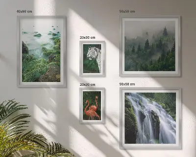 Gallery wall set featuring nature, wildlife, and landscape photography