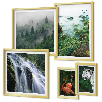 Gallery wall set featuring nature, wildlife, and landscape photography