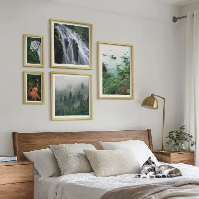 Gallery wall set featuring nature, wildlife, and landscape photography