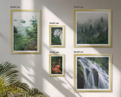 Gallery wall set featuring nature, wildlife, and landscape photography