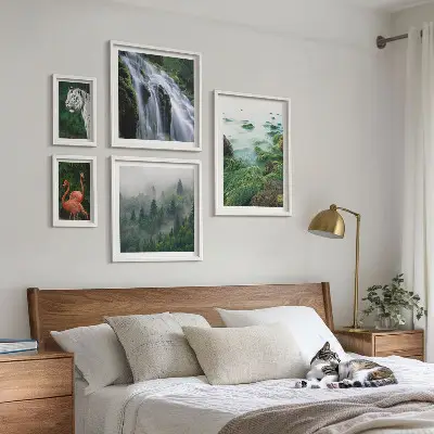 Gallery wall set featuring nature, wildlife, and landscape photography