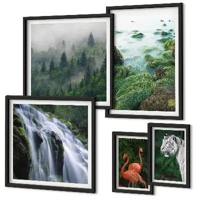 Gallery wall set featuring nature, wildlife, and landscape photography
