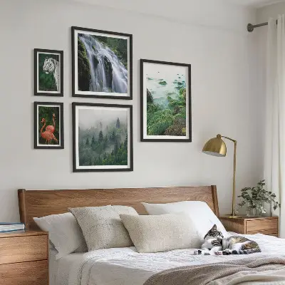 Gallery wall set featuring nature, wildlife, and landscape photography