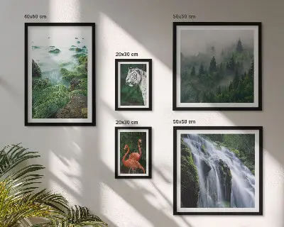 Gallery wall set featuring nature, wildlife, and landscape photography